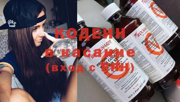 хмурый Абинск